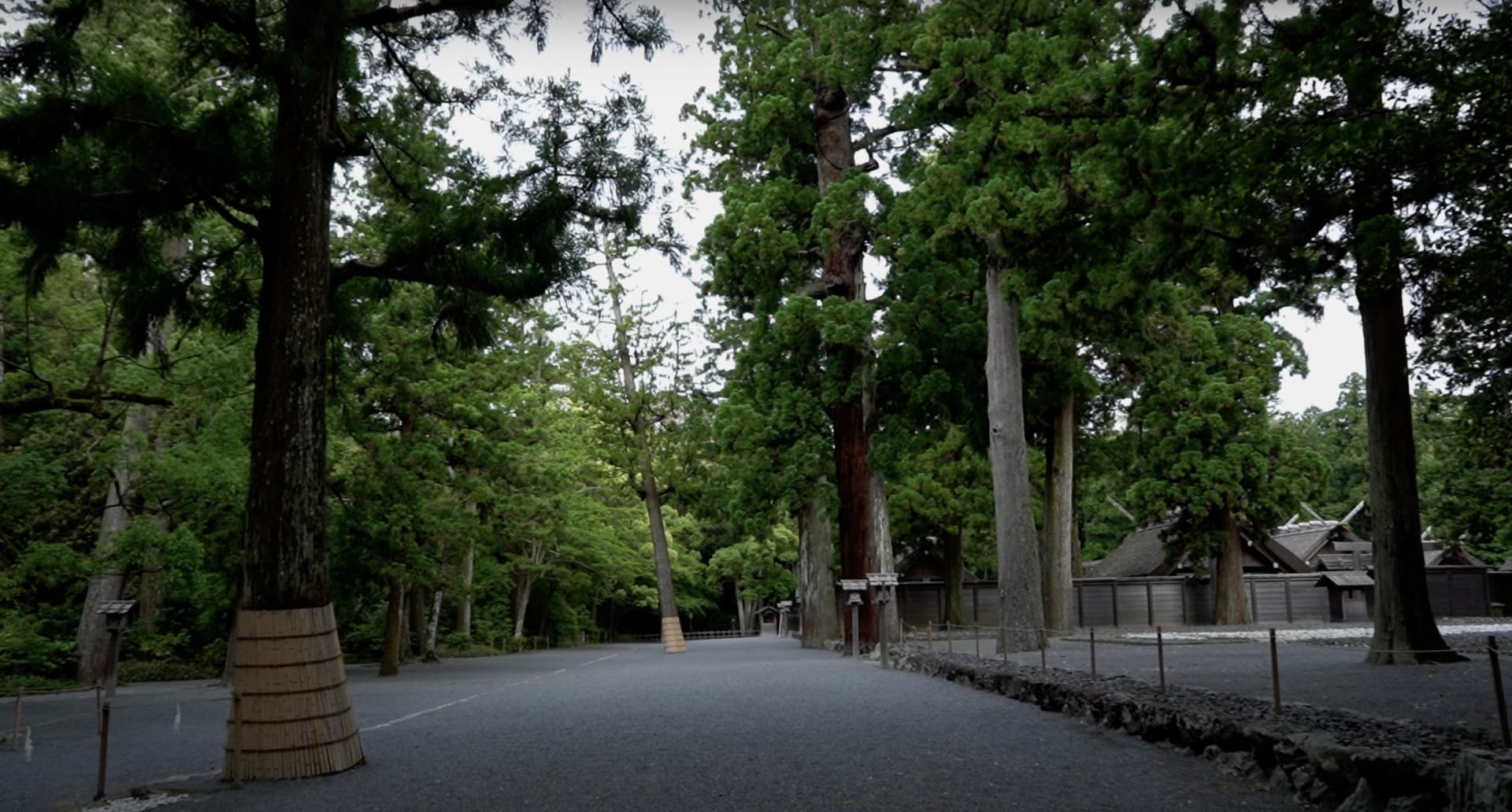 伊勢神宮について｜歴史や概要を詳しく解説